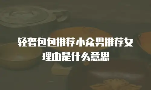 轻奢包包推荐小众男推荐女理由是什么意思