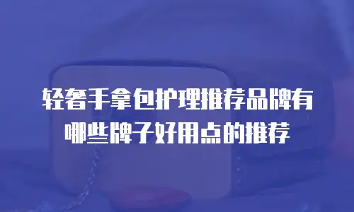 轻奢手拿包护理推荐品牌有哪些牌子好用点的推荐