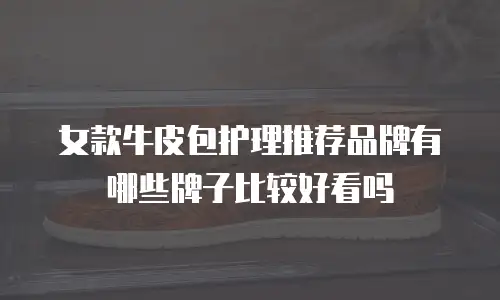 女款牛皮包护理推荐品牌有哪些牌子比较好看吗
