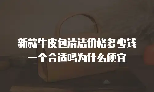 新款牛皮包清洁价格多少钱一个合适吗为什么便宜