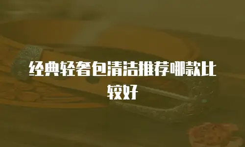 经典轻奢包清洁推荐哪款比较好