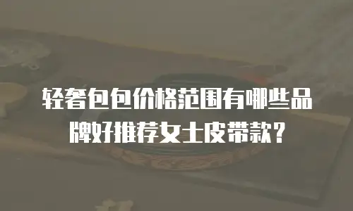 轻奢包包价格范围有哪些品牌好推荐女士皮带款？