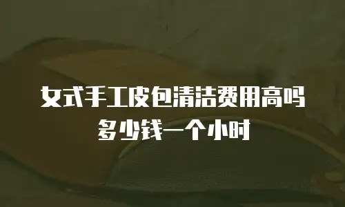 女式手工皮包清洁费用高吗多少钱一个小时