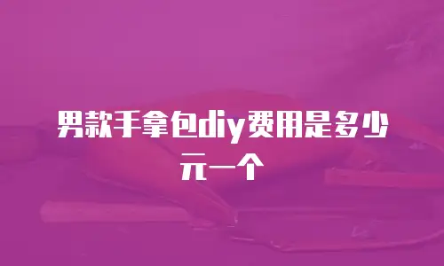 男款手拿包diy费用是多少元一个