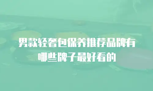 男款轻奢包保养推荐品牌有哪些牌子最好看的