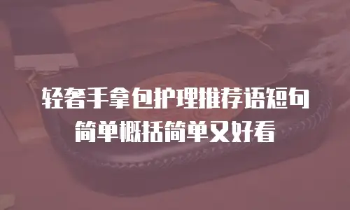 轻奢手拿包护理推荐语短句简单概括简单又好看
