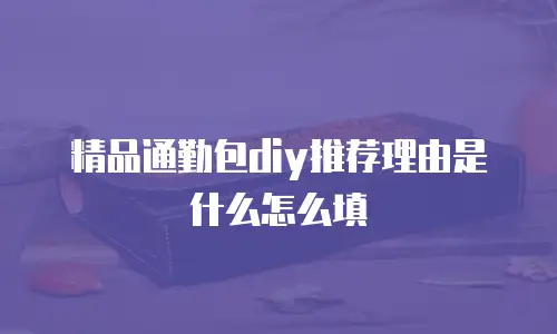 精品通勤包diy推荐理由是什么怎么填