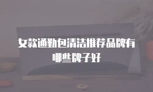 女款通勤包清洁推荐品牌有哪些牌子好