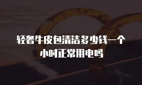 轻奢牛皮包清洁多少钱一个小时正常用电吗