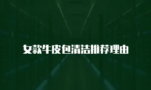 女款牛皮包清洁推荐理由