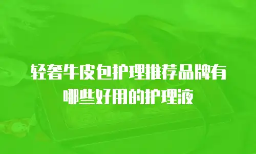 轻奢牛皮包护理推荐品牌有哪些好用的护理液