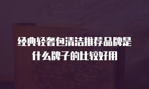 经典轻奢包清洁推荐品牌是什么牌子的比较好用