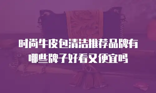 时尚牛皮包清洁推荐品牌有哪些牌子好看又便宜吗