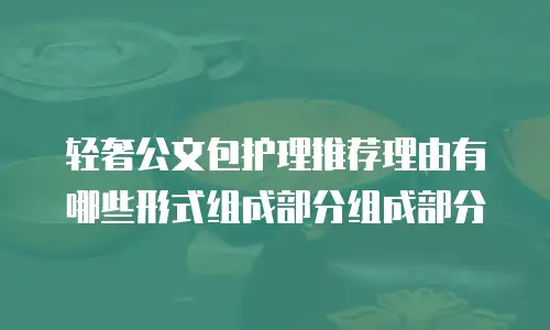 轻奢公文包护理推荐理由有哪些形式组成部分组成部分