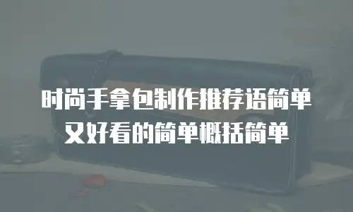 时尚手拿包制作推荐语简单又好看的简单概括简单