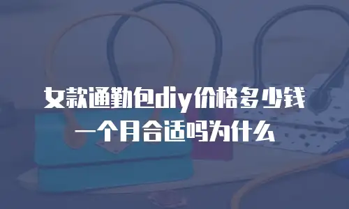 女款通勤包diy价格多少钱一个月合适吗为什么