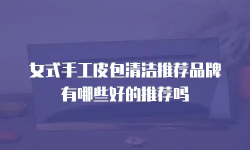 女式手工皮包清洁推荐品牌有哪些好的推荐吗