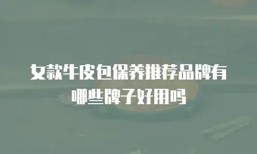 女款牛皮包保养推荐品牌有哪些牌子好用吗