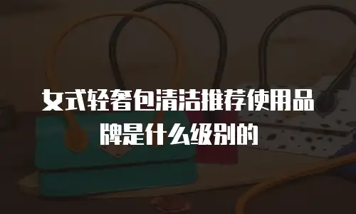 女式轻奢包清洁推荐使用品牌是什么级别的