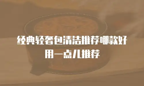 经典轻奢包清洁推荐哪款好用一点儿推荐