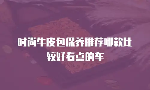 时尚牛皮包保养推荐哪款比较好看点的车