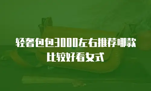 轻奢包包3000左右推荐哪款比较好看女式