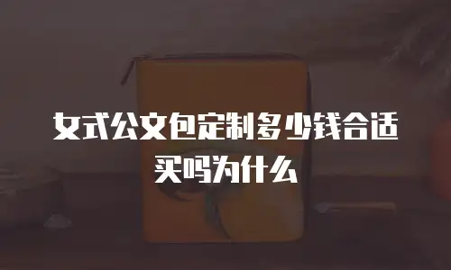 女式公文包定制多少钱合适买吗为什么