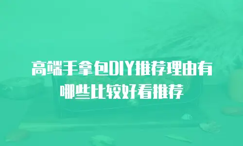 高端手拿包DIY推荐理由有哪些比较好看推荐