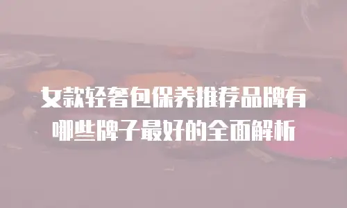 女款轻奢包保养推荐品牌有哪些牌子最好的全面解析
