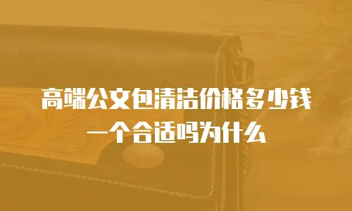 高端公文包清洁价格多少钱一个合适吗为什么