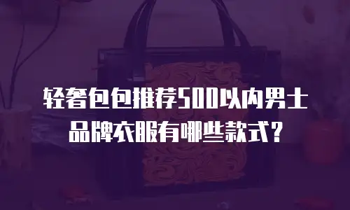 轻奢包包推荐500以内男士品牌衣服有哪些款式？