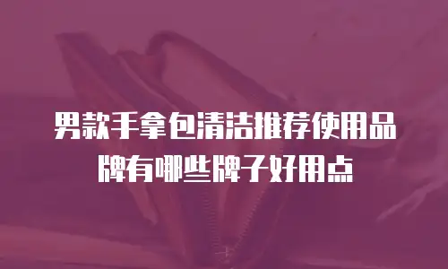 男款手拿包清洁推荐使用品牌有哪些牌子好用点