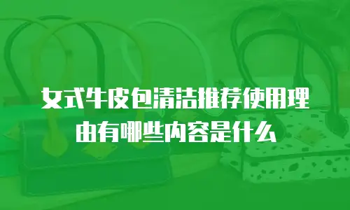 女式牛皮包清洁推荐使用理由有哪些内容是什么