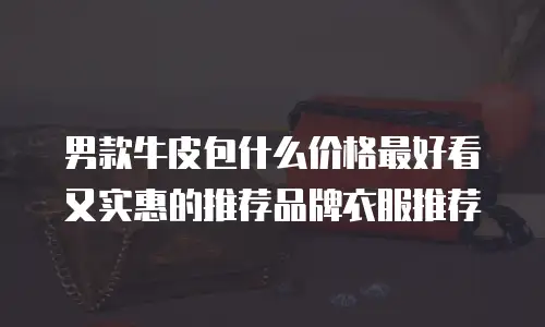 男款牛皮包什么价格最好看又实惠的推荐品牌衣服推荐