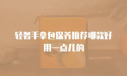 轻奢手拿包保养推荐哪款好用一点儿的