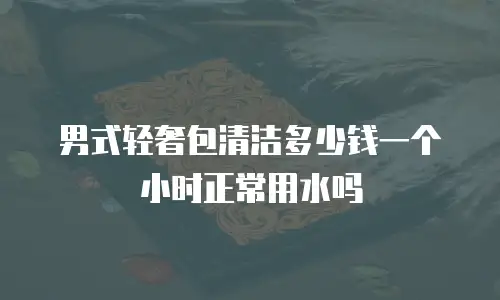 男式轻奢包清洁多少钱一个小时正常用水吗