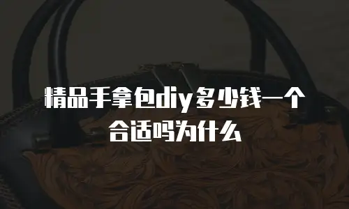 精品手拿包diy多少钱一个合适吗为什么