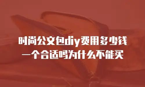 时尚公文包diy费用多少钱一个合适吗为什么不能买