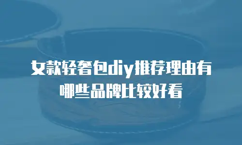 女款轻奢包diy推荐理由有哪些品牌比较好看
