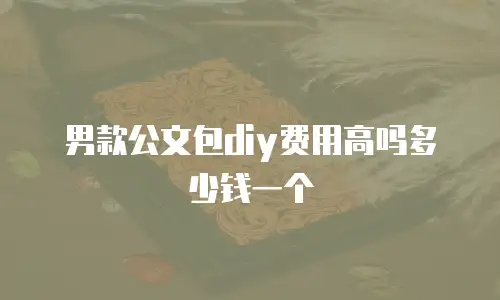 男款公文包diy费用高吗多少钱一个