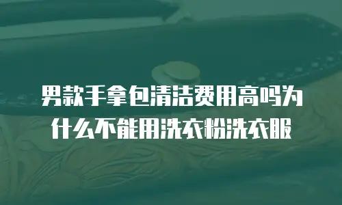 男款手拿包清洁费用高吗为什么不能用洗衣粉洗衣服