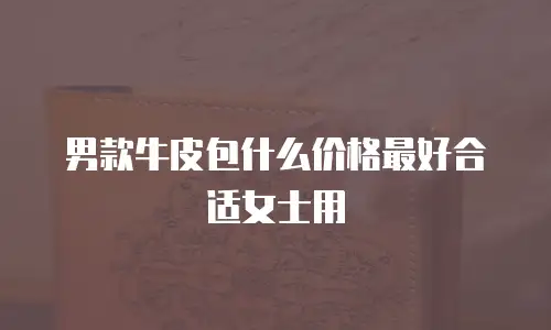 男款牛皮包什么价格最好合适女士用