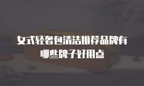女式轻奢包清洁推荐品牌有哪些牌子好用点