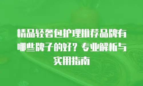 精品轻奢包护理推荐品牌有哪些牌子的好？专业解析与实用指南