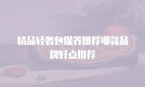 精品轻奢包保养推荐哪款品牌好点推荐