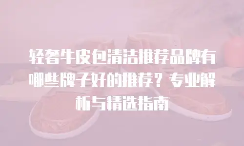 轻奢牛皮包清洁推荐品牌有哪些牌子好的推荐？专业解析与精选指南