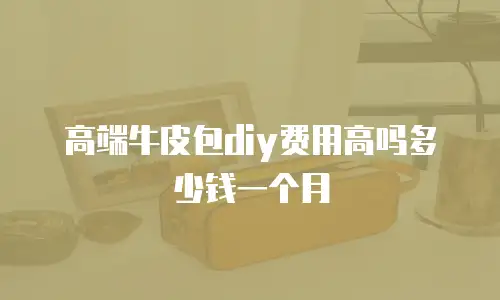 高端牛皮包diy费用高吗多少钱一个月