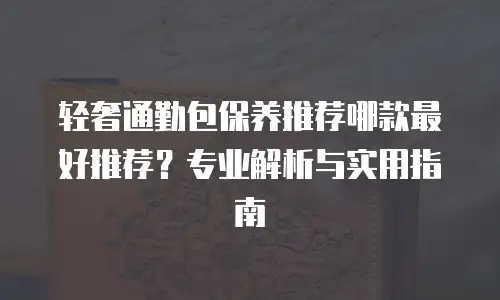 轻奢通勤包保养推荐哪款最好推荐？专业解析与实用指南