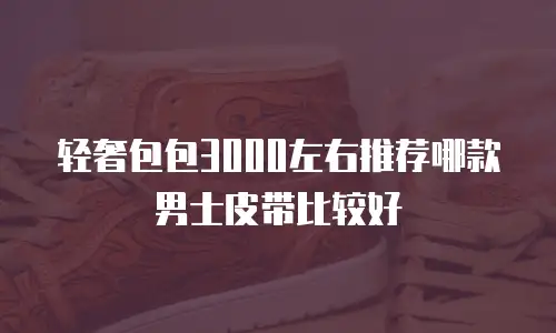 轻奢包包3000左右推荐哪款男士皮带比较好