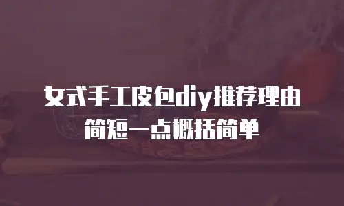 女式手工皮包diy推荐理由简短一点概括简单